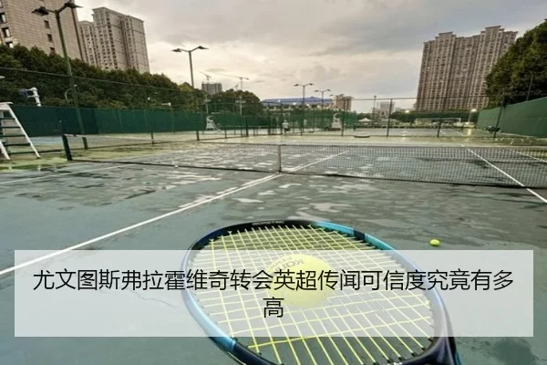 尤文图斯弗拉霍维奇转会英超传闻可信度究竟有多高